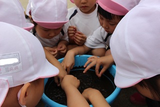 IMG_1192 ブログ.jpg